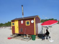 Sauna Arten