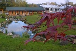 Aussenbereich im Lago