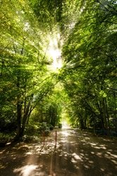 Aussenbereich des Solbades